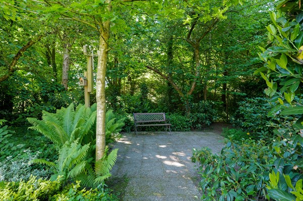 Medium property photo - Diepsloot 4, 9481 JK Vries